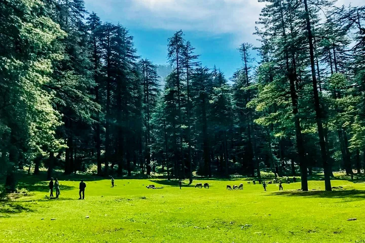 Koti Kanasar Bugyal